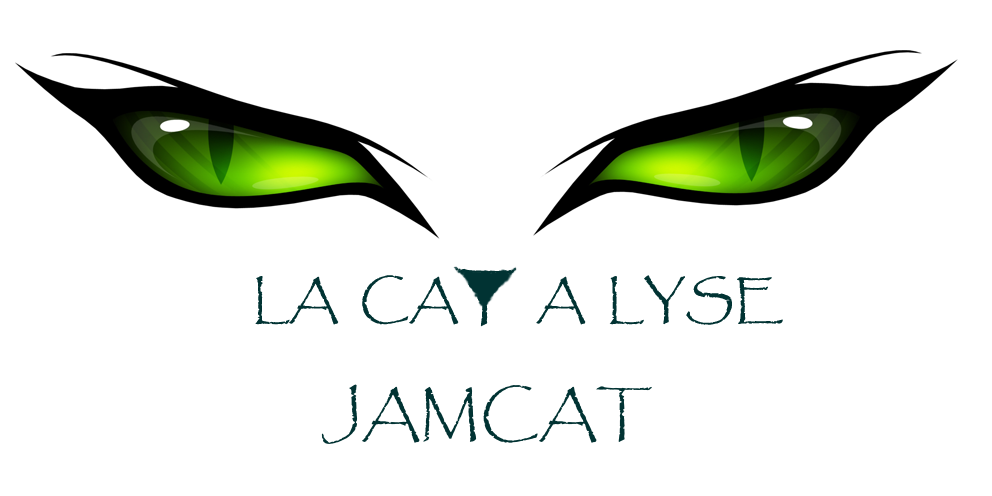 Assistance technique du groupe « Jam Cat »